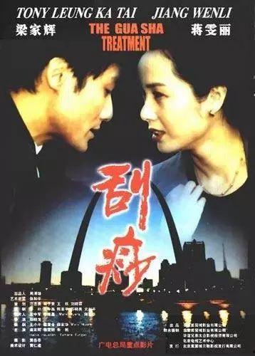 电影《刮痧》在线播放,跨文化冲突下的家庭伦理困境