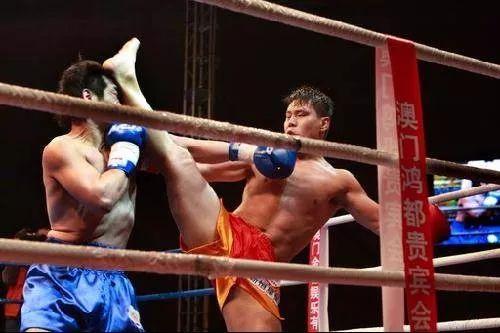 柳海龙ko日本,展现中华武术风采