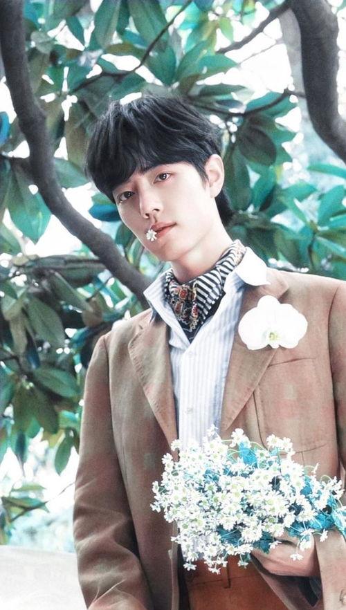 娱乐圈揭秘爆料任嘉伦,娱乐圈背后的真实人生