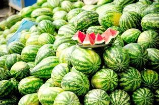 西瓜网在线免费观看,畅享海量影视资源