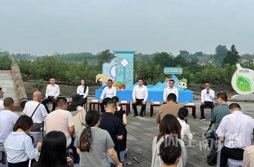 威远县新闻爆料,聚焦民生热点，揭示社会现象