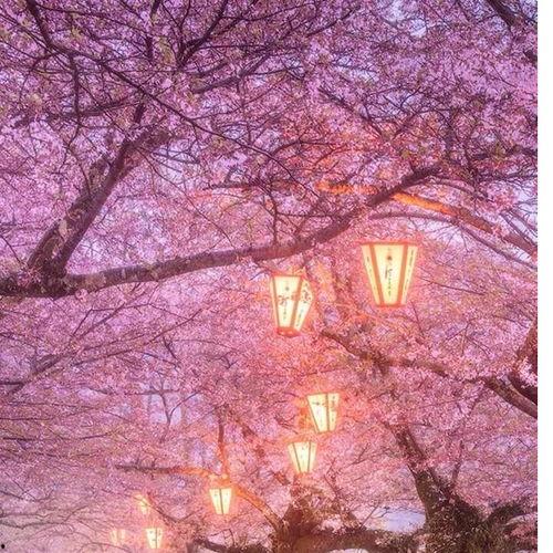 肉浦团在线直接观看迅雷下载