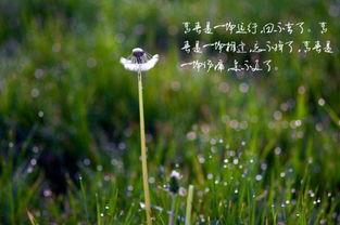 老公性无能想要孩子,夫妻携手探索生育之路