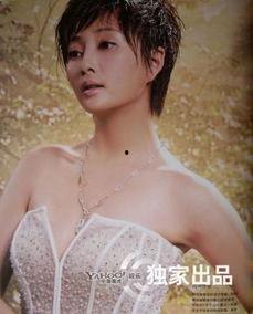 被官员包过的明星,揭秘官员包养明星的内幕故事