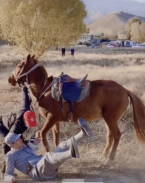 坠马的明星都有谁,盘点那些曾因坠马受伤的明星
