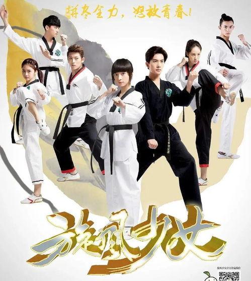 旋风少女全集免费观看ttyy,青春热血，舞动青春