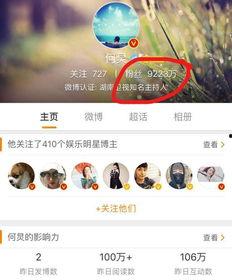 微博上粉丝最多的明星,揭秘粉丝最多的明星背后的故事”